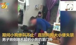 向阳理发店在线观看1,在线观看，感受温馨时光