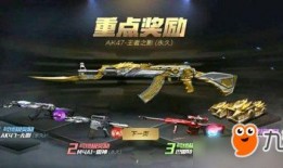 王者之影爆料视频在哪看,观看指南一览