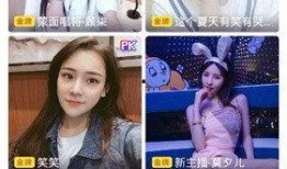 网红爆料玲子视频大全下载,玲子视频大全下载攻略大公开