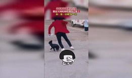 娱乐崽吃瓜,揭秘娱乐圈背后的那些事儿
