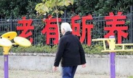 重庆农村老王爆料视频大全,揭秘乡村生活点滴