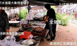重庆农村老王爆料视频大全,揭秘乡村生活点滴