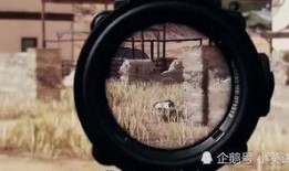 和平精英新枪爆料最新视频