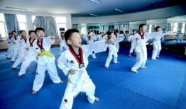 跆拳道小李爆料视频大全,揭秘跆拳道界的精彩瞬间与幕后故事