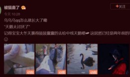 千玺新杂志爆料视频,光影交错，青春风采尽显