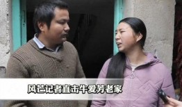 电视采访爆料视频大全,视频大全背后的真实故事