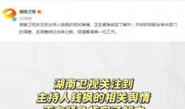 搜索娱乐吃瓜,揭秘明星幕后故事