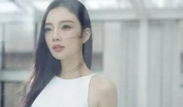 杭州姑姑爆料事件视频曝光,惊人内幕揭露真相