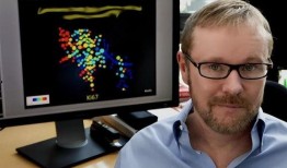 美国情报官员爆料视频下载,揭秘视频下载背后的秘密与风险