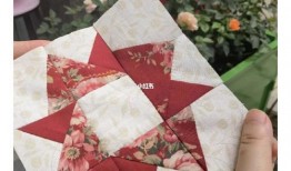 蘑菇网黑料爆料视频