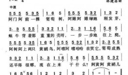 黄鹂视频在线观看,在线观看，尽享视听盛宴