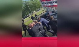 绿军粉丝爆料事件视频,揭秘事件背后真相