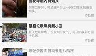 今日爆料快讯,揭秘热点事件背后的真相