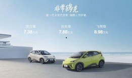 比亚迪海鸥爆料视频曝光,全新小型车亮相，设计时尚续航惊人