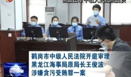 鹤岗新闻联播在线观看,聚焦城市动态，共话发展新篇