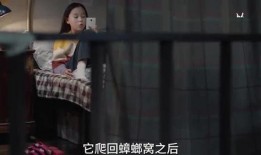 丁姐被人爆料视频,揭秘背后真相与争议