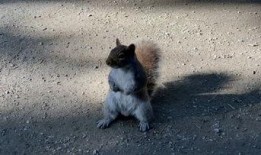 番鼠爆料视频大全下载安装,下载安装攻略全解析