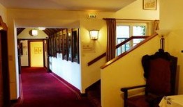 马旅馆在线观看,一场穿越时空的浪漫冒险之旅