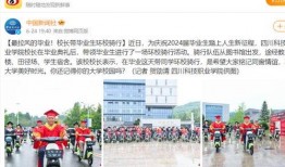 四川某职业学院爆料新闻,校园事件引发社会关注