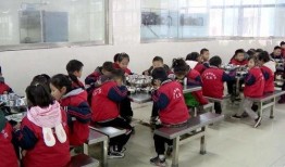 爆料小学学校食堂视频,小学食堂卫生问题引关注
