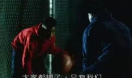 单挑电影手机在线观看,指尖上的光影盛宴