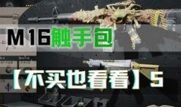 cod最新武器包爆料,全新枪械与战术装备一览