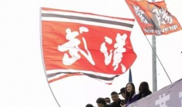 媒体爆料武汉三镇事件视频,冲突瞬间引发社会关注