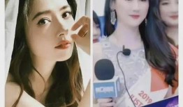 网红闺蜜爆料视频大全最新,揭秘娱乐圈幕后真相