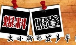 芷江新闻爆料,揭秘当地热点事件背后的真相