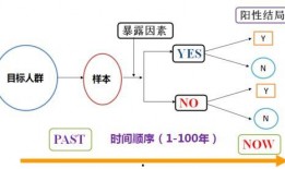 娱乐圈爆料小料博主有哪些,揭秘幕后故事，带你走进明星生活