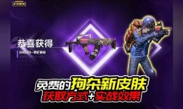 和平精英最新皮肤爆料实战效果,视觉盛宴与性能提升并存