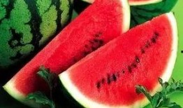 微信免费吃瓜最新,畅享夏日狂欢盛宴！