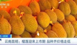 榴莲爆料视频完整版,揭秘幕后真相与惊人内幕