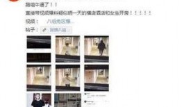 蘑菇网黑料爆料视频