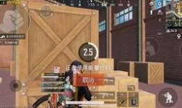 椰子爆料和平精英视频,揭秘和平精英精彩瞬间与幕后故事