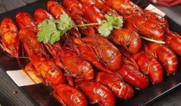 爆料蚌埠龙虾视频大全,视频大全带你领略美食魅力