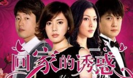 8回家在线观看,穿越时空的温馨之旅