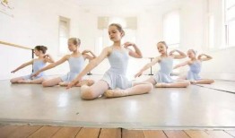 芭蕾舞鞋爆料视频完整版,舞蹈艺术背后的神秘面纱