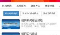 鹤岗新闻联播在线观看,聚焦城市动态，共话发展新篇