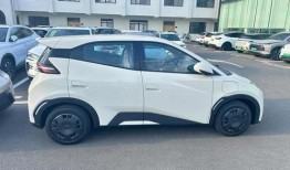 比亚迪海鸥爆料视频曝光,全新小型车亮相，设计时尚续航惊人