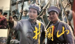 井冈山圈内爆料事件始末,真相与争议的发酵历程