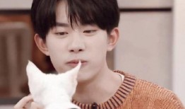 易烊千玺最新爆料,新作品背后的故事与心路历程