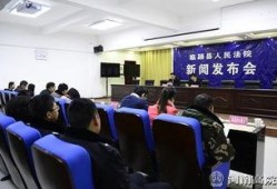 临颍新闻爆料事件最新情况,真相逐步浮出水面