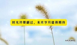 今日正能量爆料文案短句,今日爆料短句传递温暖力量