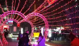 圣诞大爆料视频,揭秘节日背后的惊喜与秘密