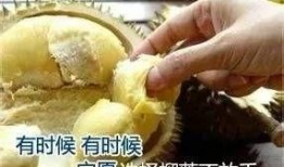 榴莲加工爆料视频,从果肉到美味佳肴的华丽蜕变