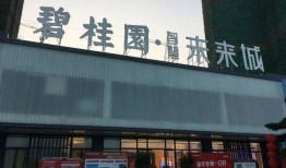 清远未来城业主爆料视频,揭秘小区问题与整改进展