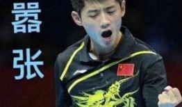 左伟爆料张继科视频,真相与争议