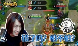 张大仙国服爆料视频,揭秘游戏内幕与精彩瞬间
