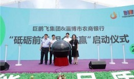 鹏飞集团最新爆料,揭秘企业转型背后的秘密与挑战